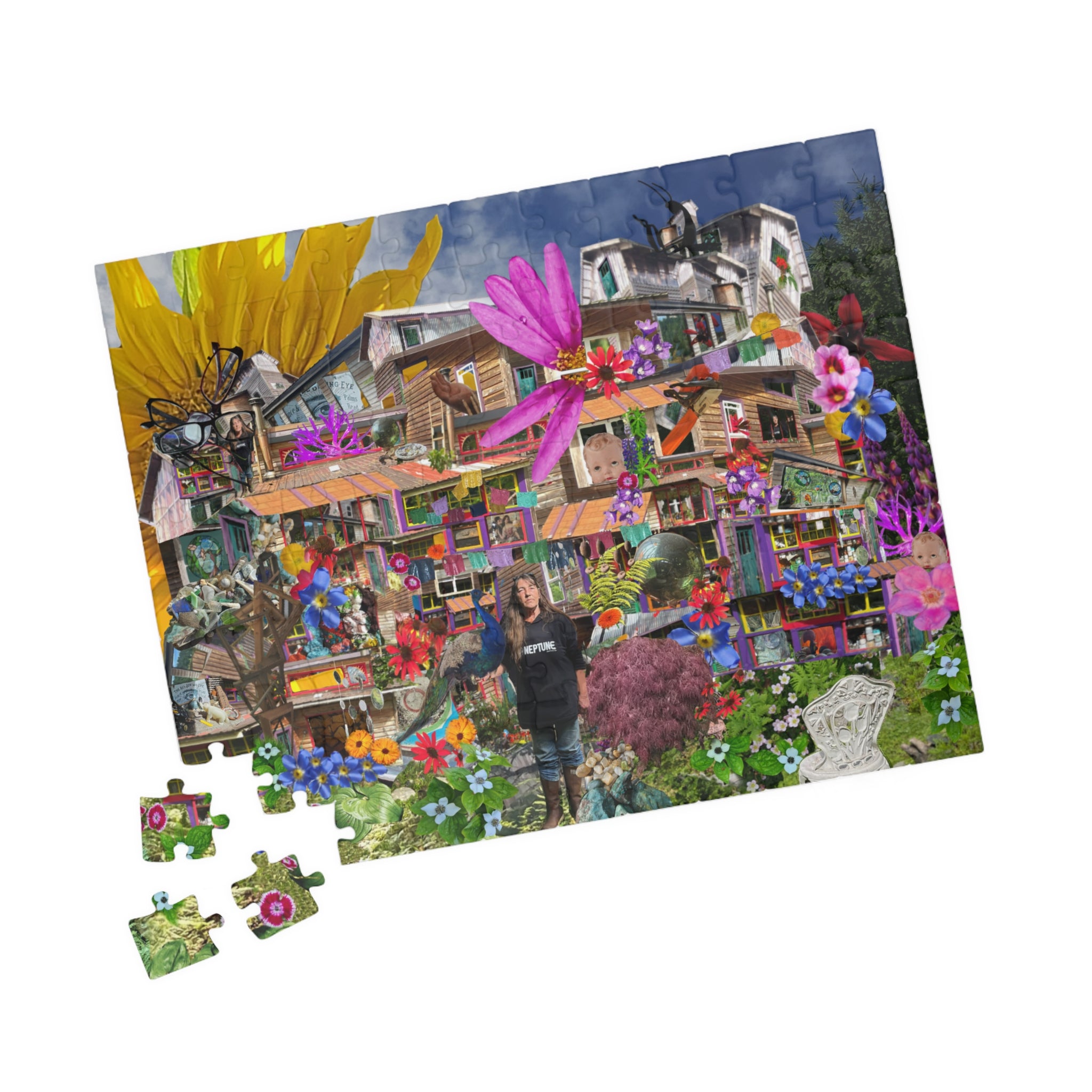 The House that Terri Built Collage Jigsaw (110–1014 pcs)